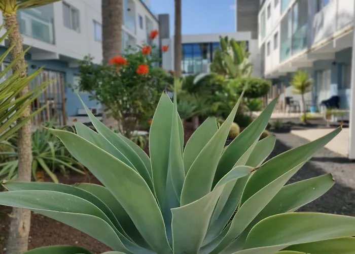 Apartament Casa Federica *