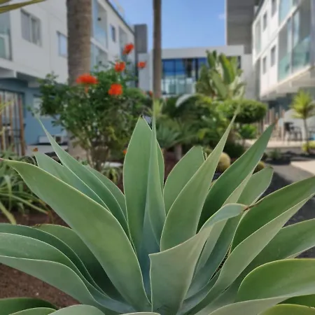 Apartament Casa Federica *