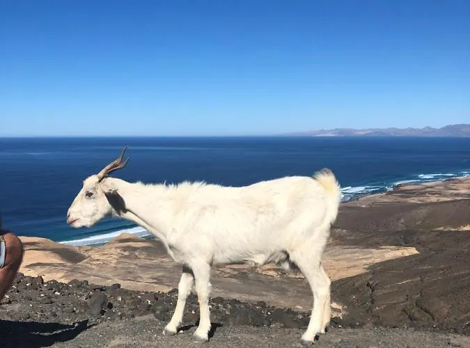 Apartamento Casa Federica Corralejo